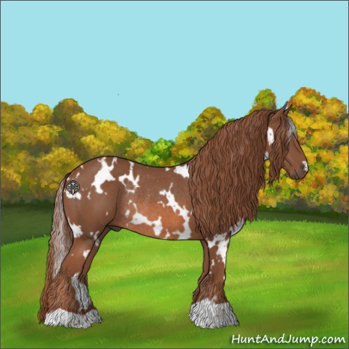 Horse Color:White Spotted Chestnut Rabicano 