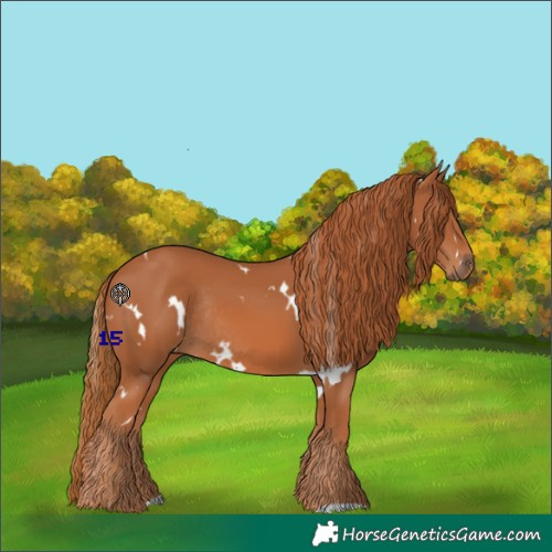 Horse Color:White Spotted Chestnut Rabicano 
