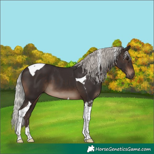 Horse Color:Silver Brown Tobiano 