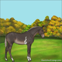 Horse Color:Silver Black Tobiano 