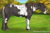 Horse Color:Smoky Blue Ice Roan Splash Near Leopard  and Smoky Black Varnish 