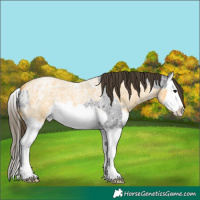Horse Color:Smoky Blue Ice Roan Splash and Buckskin Ice Roan Splash