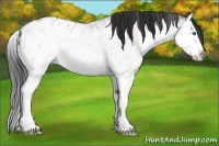 Horse Color:White Spotted Bay Splash Blanket