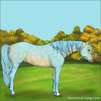Horse Color:Watercolor Buckskin Ice 