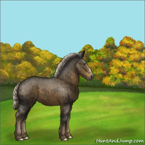 Horse Color:Chocolate Palomino