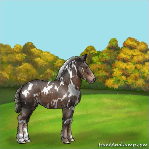 Horse Color:White Spotted Liver Chestnut Mushroom 