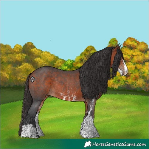 Horse Color:Bay Sabino Rabicano