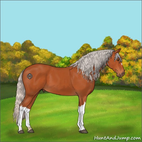 Horse Color:Silver Bay 
