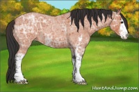 Horse Color:Bay Ice Roan Sabino