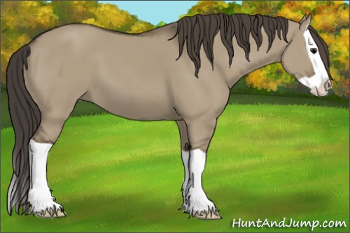 Horse Color:Smoky Grullo Splash