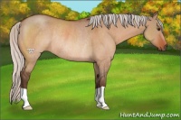 Horse Color:Silver Bay Dun Rabicano 