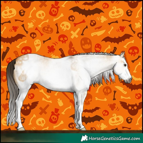 Horse Color:Gray White Spotted Buckskin Dun Splash 