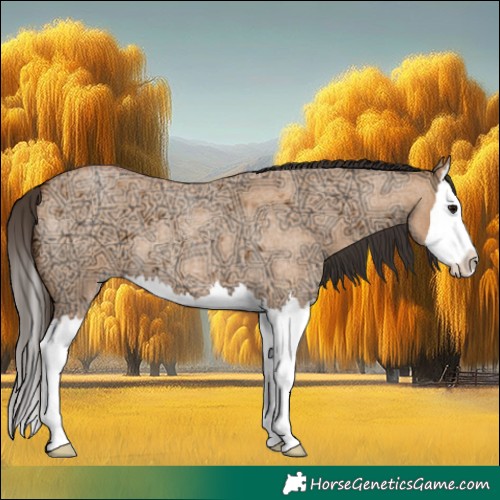Horse Color:Bay Ice Roan Dun Splash 