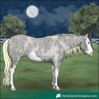 Horse Color:Painted Silver Perlino Ice Roan Dun Splash Frame 