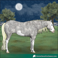 Horse Color:Painted Silver Perlino Ice Roan Dun Splash Frame 