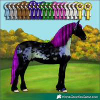 Horse Color:Void Painted Watercolor Brown Splash Tobiano 