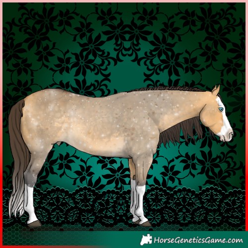 Horse Color:Buckskin Dun Splash 