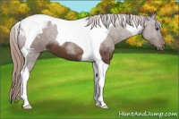 Horse Color:Liver Chestnut Tobiano Varnish 