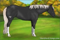 Horse Color:Liver Chestnut Mushroom 