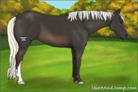 Horse Color:Liver Chestnut Mushroom 