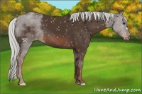 Horse Color:Liver Chestnut Mushroom Snowflake Varnish 