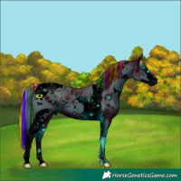 Horse Color:ERROR: UNKNOWN ANOMALY