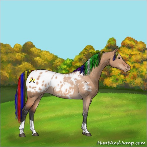 Horse Color:Painted Bay Dun Tobiano Blanket