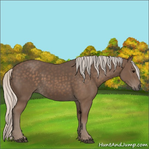 Horse Color:Silver Black 