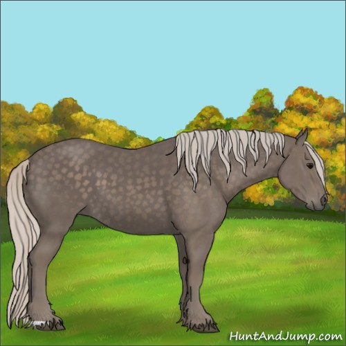 Horse Color:Silver Black 