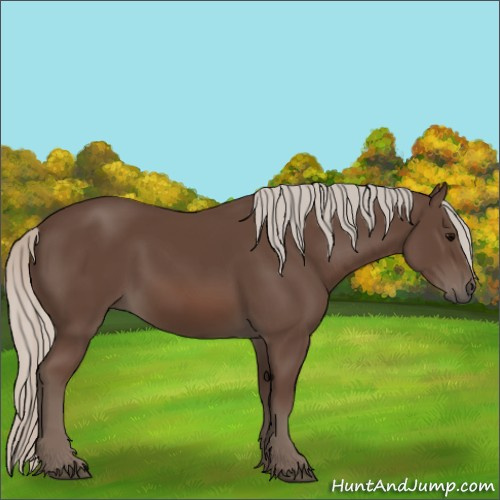 Horse Color:Silver Black 