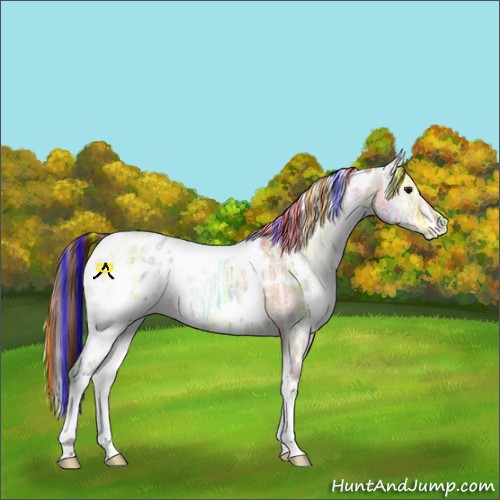Horse Color:Painted White Spotted Bay Ice Onyx Blanket