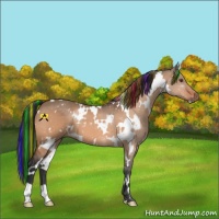 Horse Color:Painted White Spotted Brown Dun 