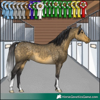 Horse Color:Buckskin Dun