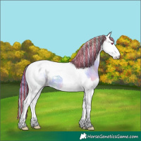 Horse Color:Painted Nacre Liver Red Onyx Chinchilla Splash Tobiano