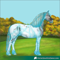 Horse Color:Painted Thunderstruck Grullo Ice Onyx Tobiano 