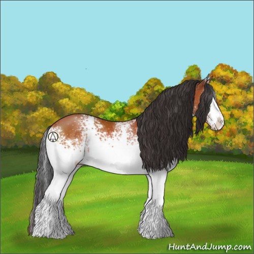 Horse Color:White Spotted Brown 