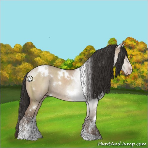 Horse Color:White Spotted Classic Champagne Dun Sabino Rabicano 