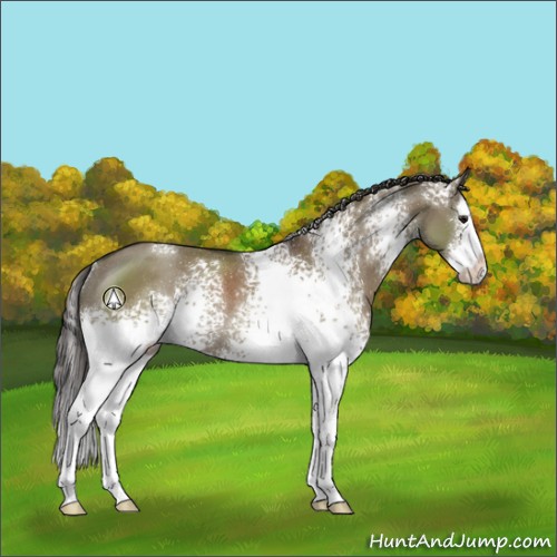 Horse Color:White Spotted Smoky Grullo Splash Rabicano 