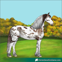 Horse Color:Chocolate Brown Ice Onyx Splash Tobiano 