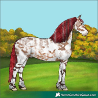 Horse Color:Painted Chocolate Brown Dun Sabino 