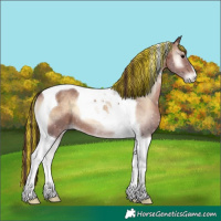 Horse Color:Painted Chocolate Brown Onyx Tobiano 