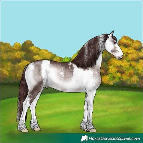 Horse Color:Platinum Chocolate Brown Onyx Sabino 