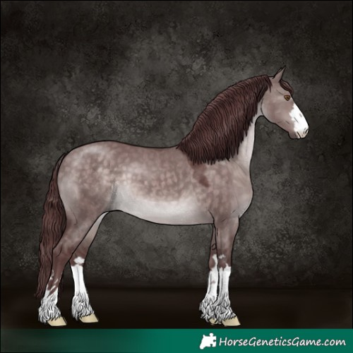 Horse Color:Platinum Chocolate Brown Dun 