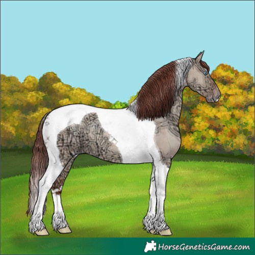 Horse Color:Chocolate Sable Champagne Ice Dun Tobiano 