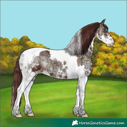 Horse Color:Chocolate Sable Champagne Ice Onyx Splash Tobiano 