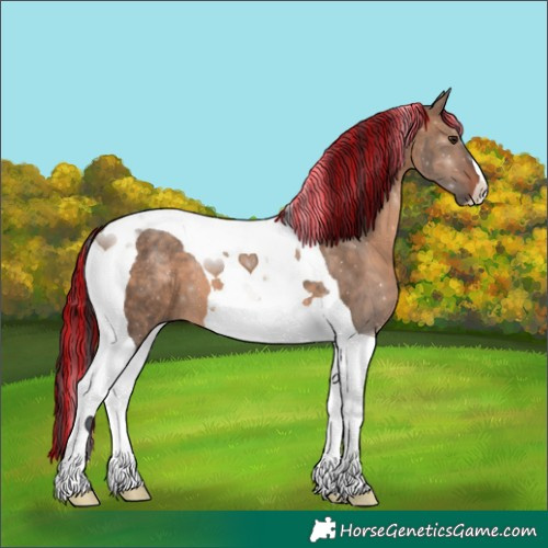 Horse Color:Painted Brown Dun Tobiano 
