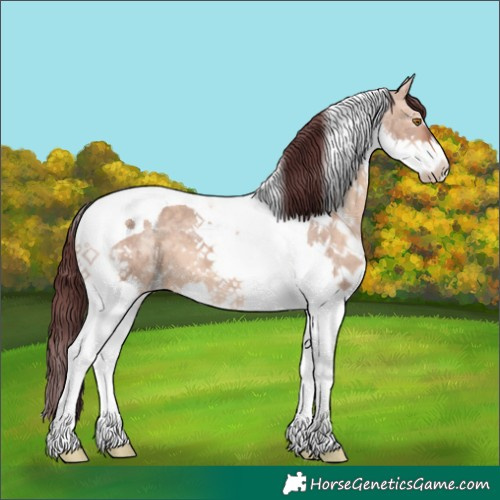 Horse Color:Chocolate Brown Dun Splash Tobiano 