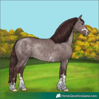 Horse Color:Platinum Chocolate Brown Dun