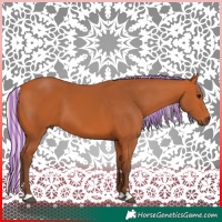 Horse Color:Painted Silver Bay 