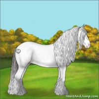 Horse Color:Sable Champagne Ice Dun Sabino Splash Tobiano Rabicano 